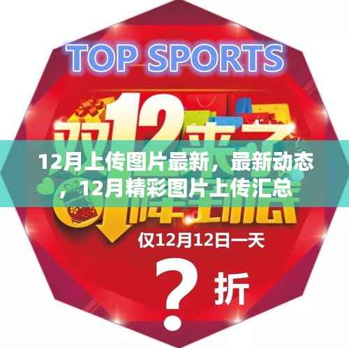 12月精彩图片上传汇总,最新动态与美图汇总