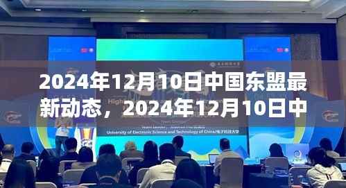 中国东盟最新动态,深化合作还是面临挑战?2024年12月10日解读