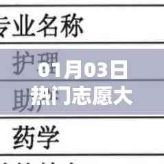 热门志愿大专,探索职业之路首选