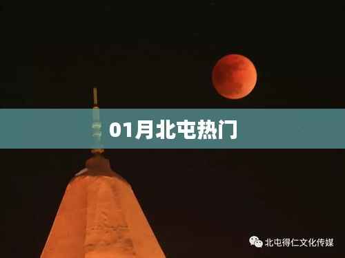 北屯一月热门事件全解析